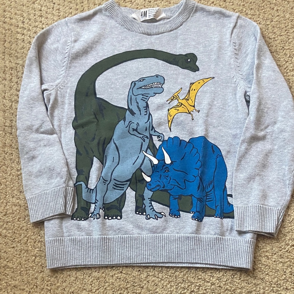 H&M Gray Dinosaur Print Sweater